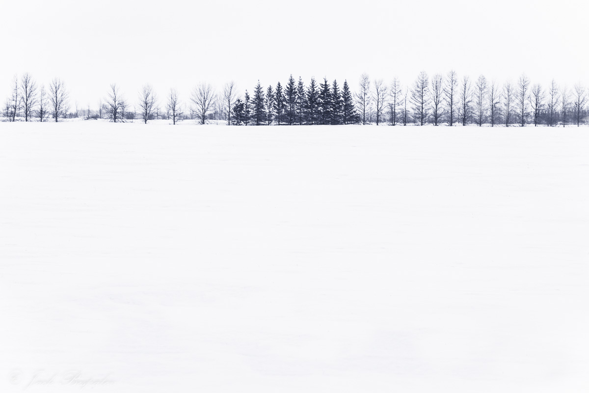 Winter minimalism