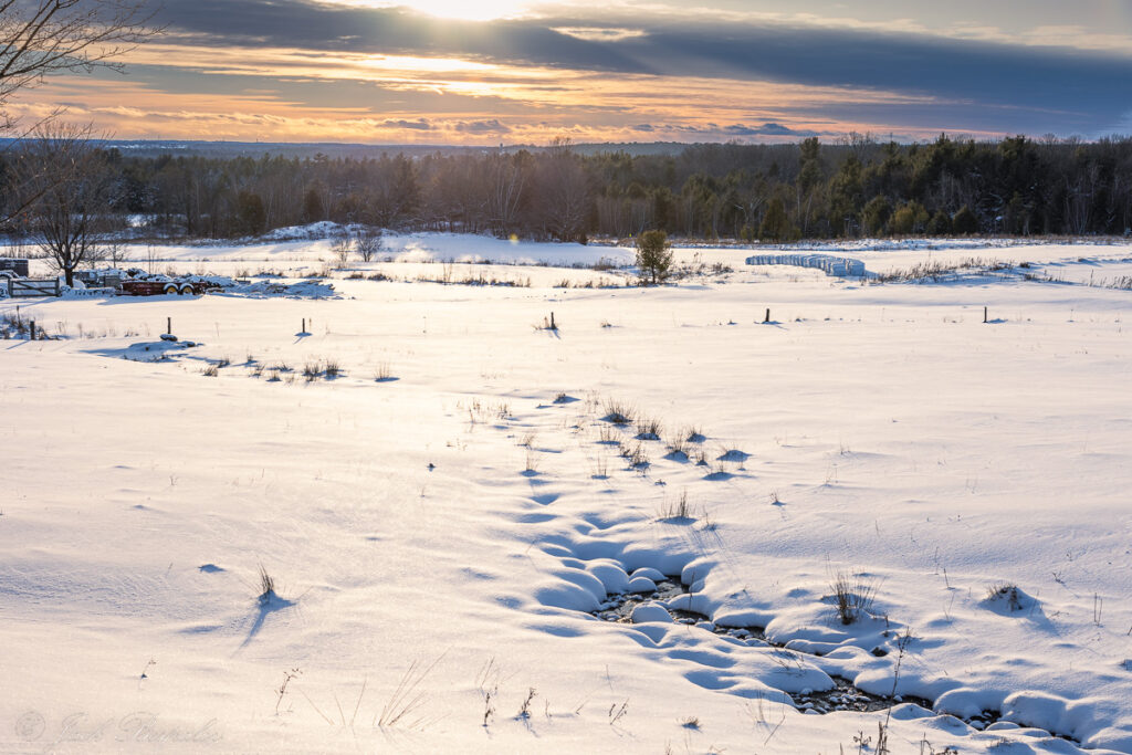 Winter wonderland