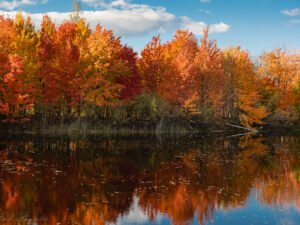 Autumn reflections