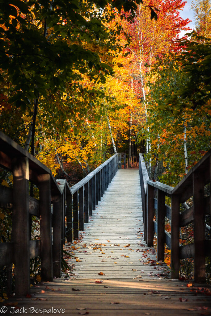 Bridge